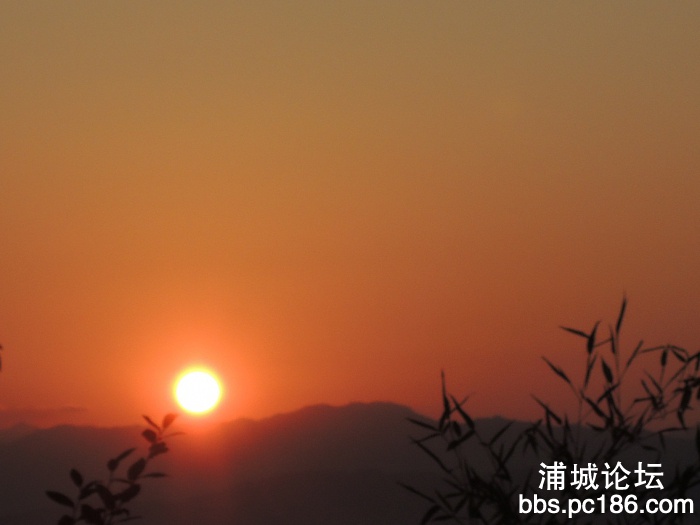 DSCN3202.JPG