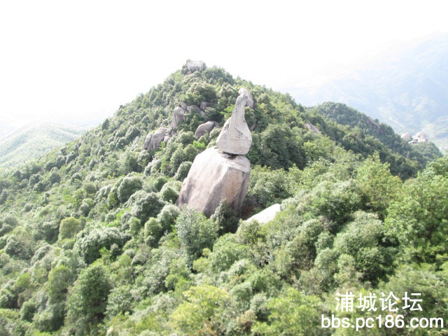 照片 182.jpg