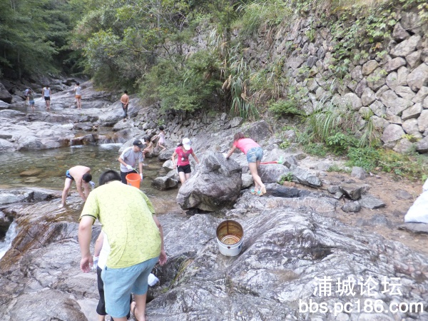 DSCF8696.jpg