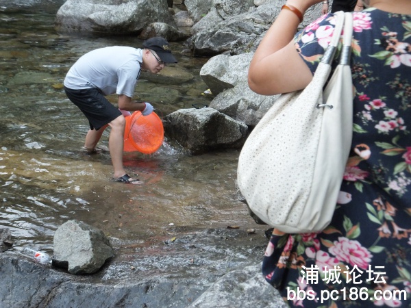 DSCF8700.jpg