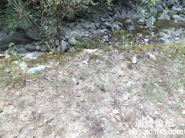 DSCF8754.jpg