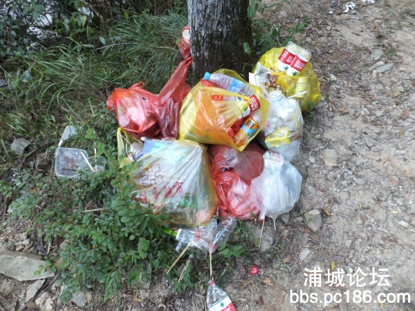DSCF8760.jpg