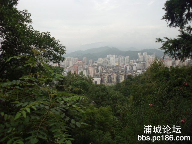 IMG_0032.JPG