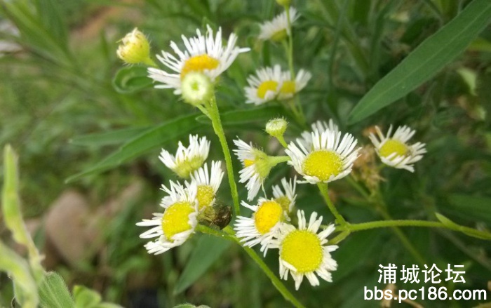 QQ图片20130825125002.jpg