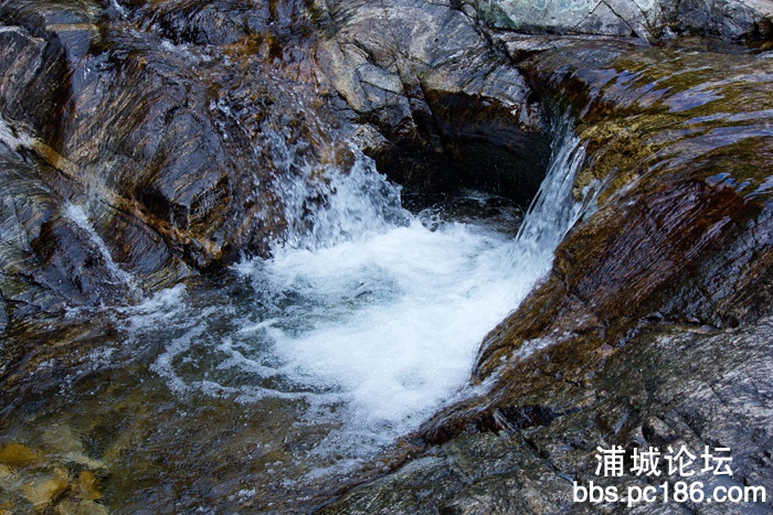 IMG_8545.jpg