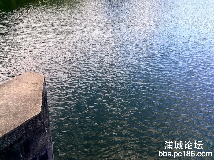 YP20130723164719752.jpg