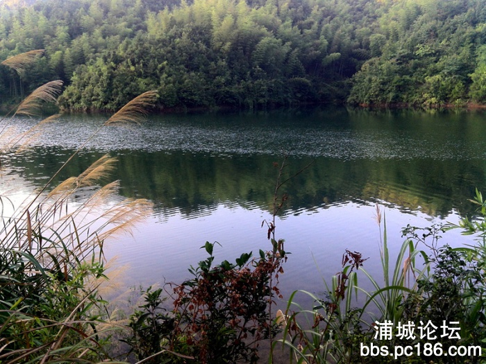 YP20130725060404801.jpg