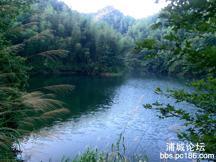 YP20130725060718828.jpg