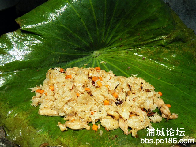 照片 157.jpg
