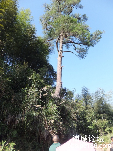DSCF9351.jpg