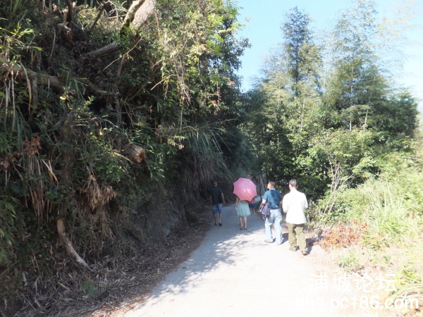 DSCF9353.jpg