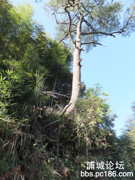 DSCF9354.jpg