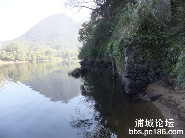 DSCF9370.jpg