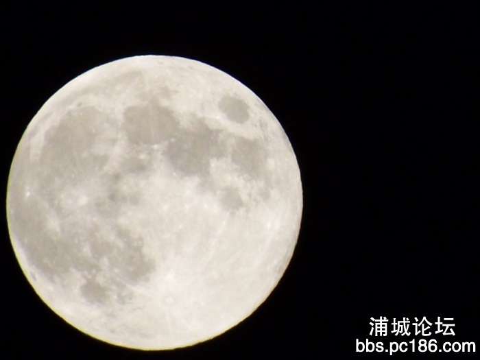 DSCF3252.jpg