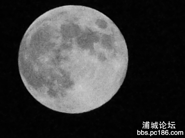 DSCF3271.jpg