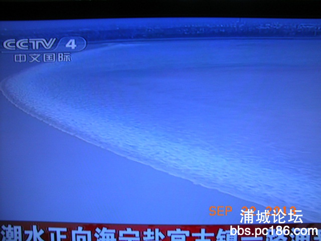 秋枫照片 1169.jpg