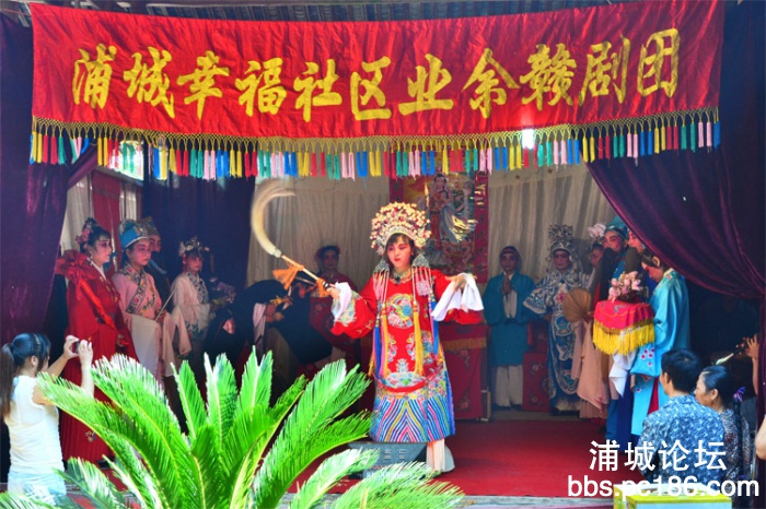 D7K_4469c.jpg