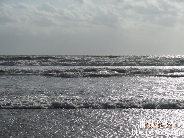 DSC01644.JPG
