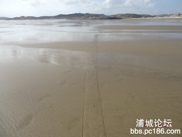 DSC01670.JPG