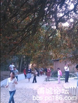 QQ图片20131005195726.jpg