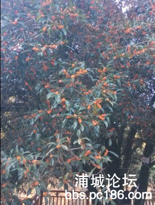QQ图片20131005195758.jpg