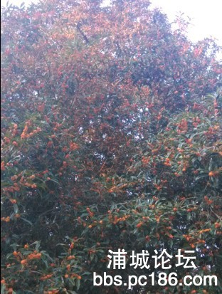 QQ图片20131005195822.jpg