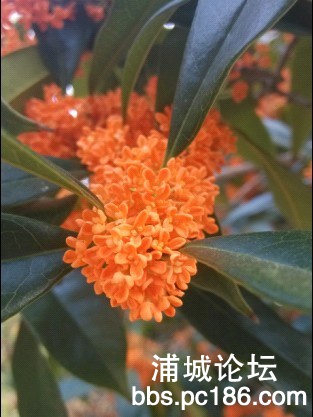 QQ图片20131005195848.jpg