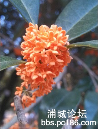 QQ图片20131005195942.jpg
