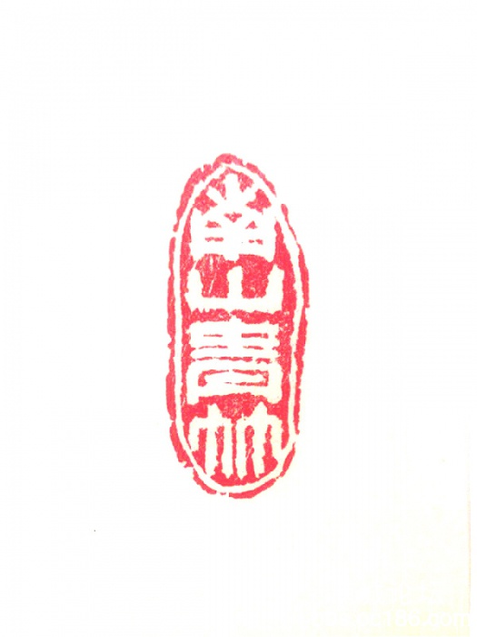 南山青竹.jpg