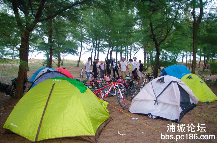 IMGP2485.jpg