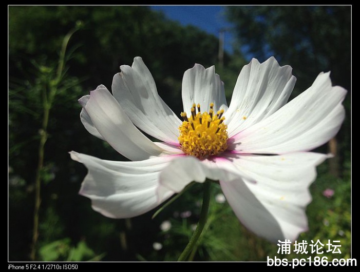 nEO_IMG_IMG_0629.jpg