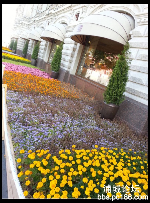 20130817_103033.jpg