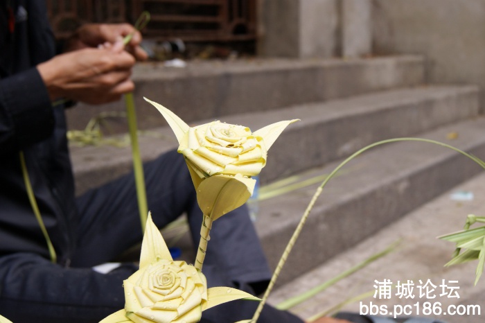 DSC01329_缩小大小.JPG