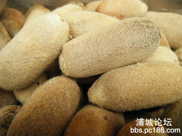 照片 306.jpg