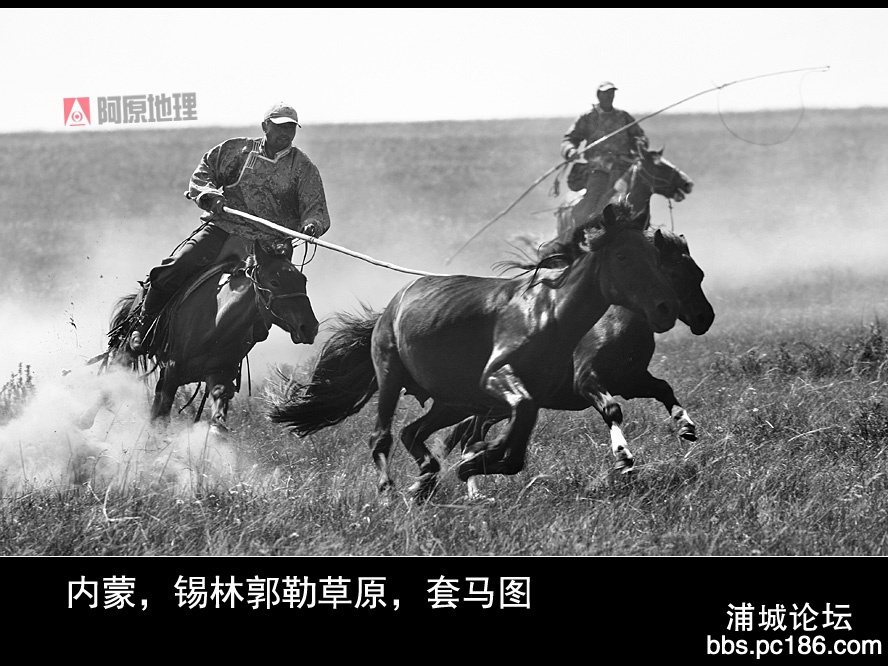 002 IMG_5270-1副本.jpg