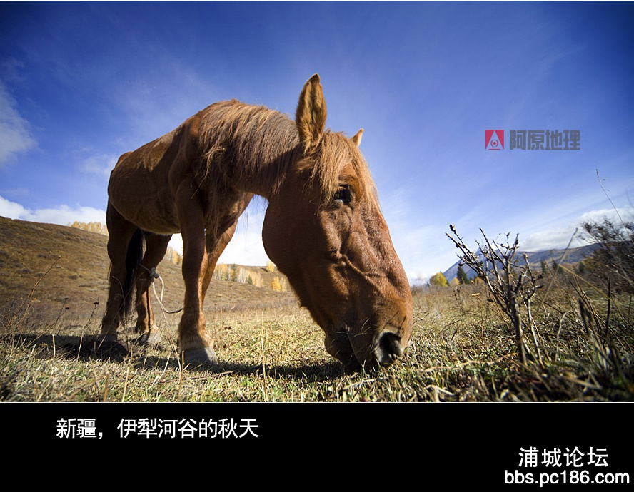 007 IMG_1343-1副本.jpg