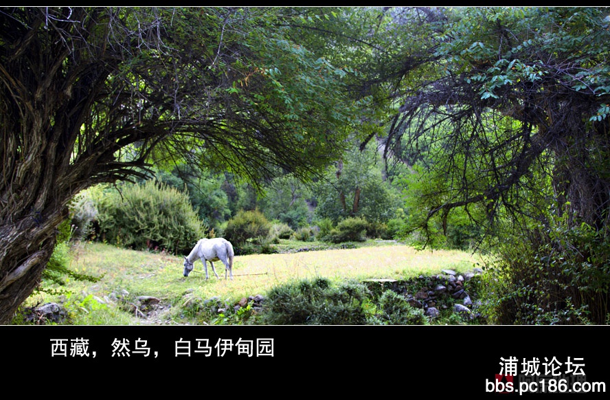 008 IMG_5799-1副本.jpg