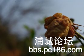 psbCAMN3VYJ.jpg