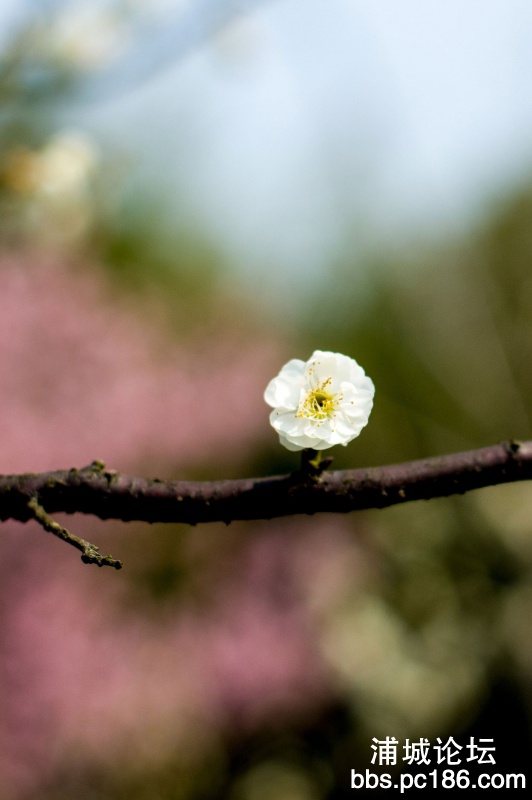 DSC_8718.jpg