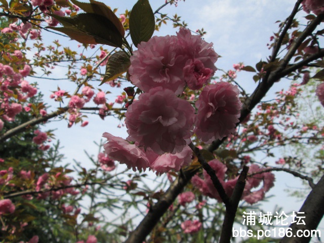 照片 026.jpg