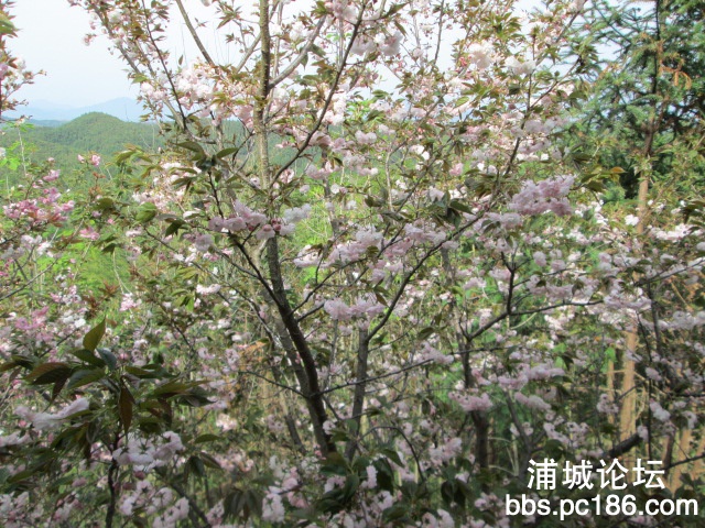 照片 029.jpg