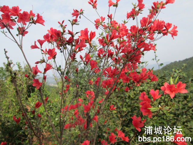 照片 031.jpg
