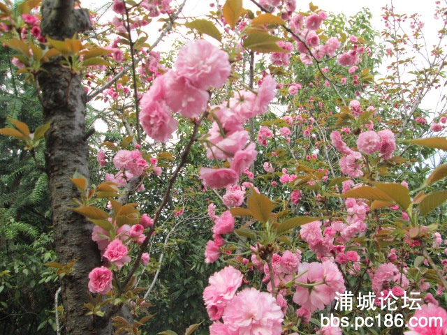 照片 045.jpg