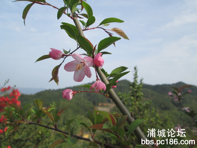 照片 032.jpg