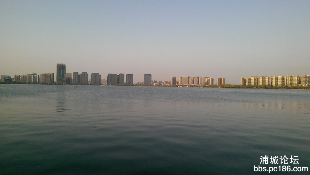 IMAG0462.jpg