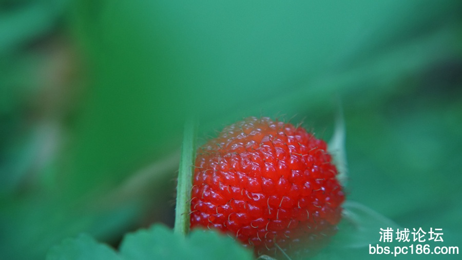 DSC02273.jpg