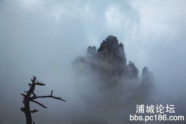 IMG_2039小.jpg
