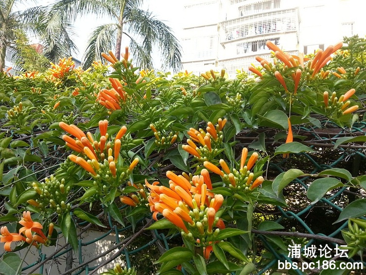 20140106_103256.jpg
