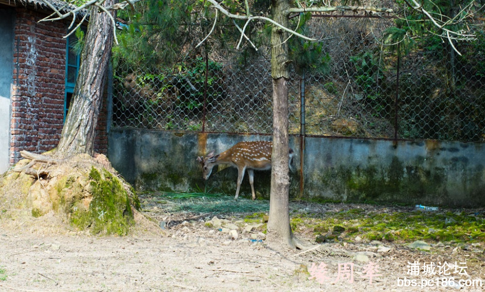 DSC03163.jpg
