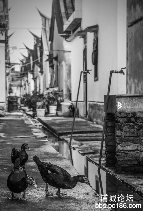 _MG_7432.jpg